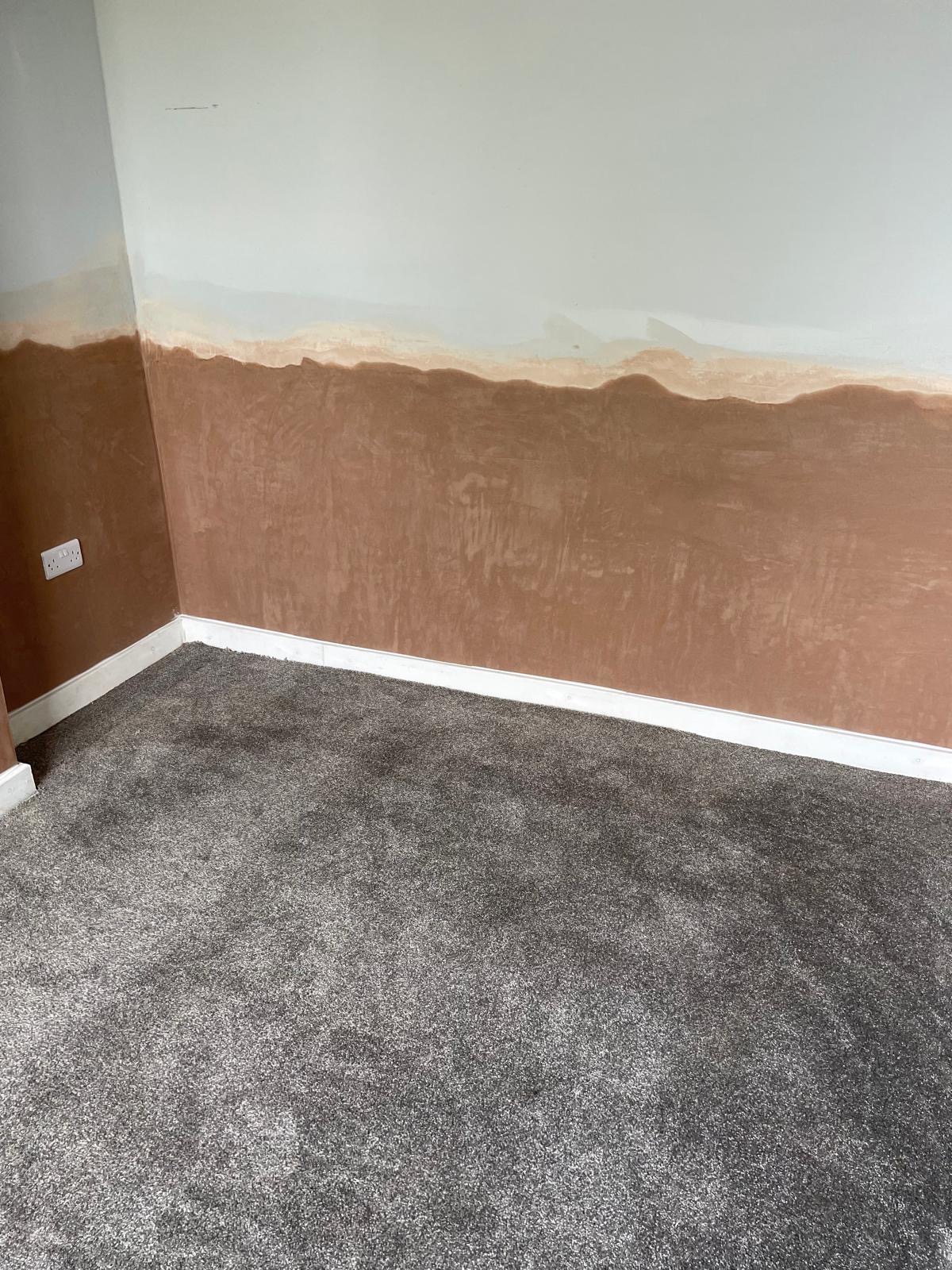 Damp course plastering treatment in Truro, Cornwall